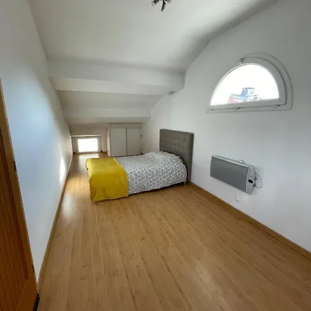 Apartment Duplex T3 Gassendi *
