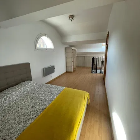 Apartment Duplex T3 Gassendi *